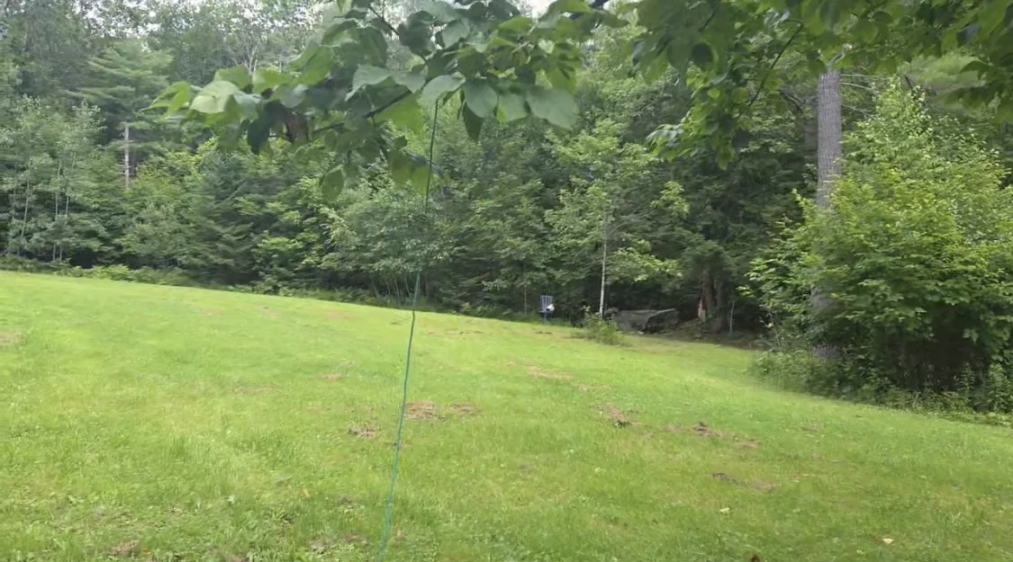 Open grassy field bordered by woodland